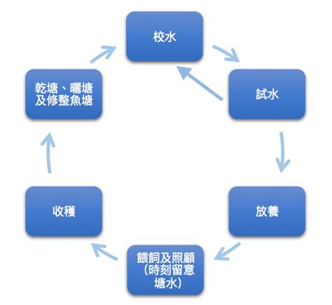 魚塘|魚塘運作及塘魚養殖技藝 – 香港有魚塘 – 淡水魚養殖業的香港歷。